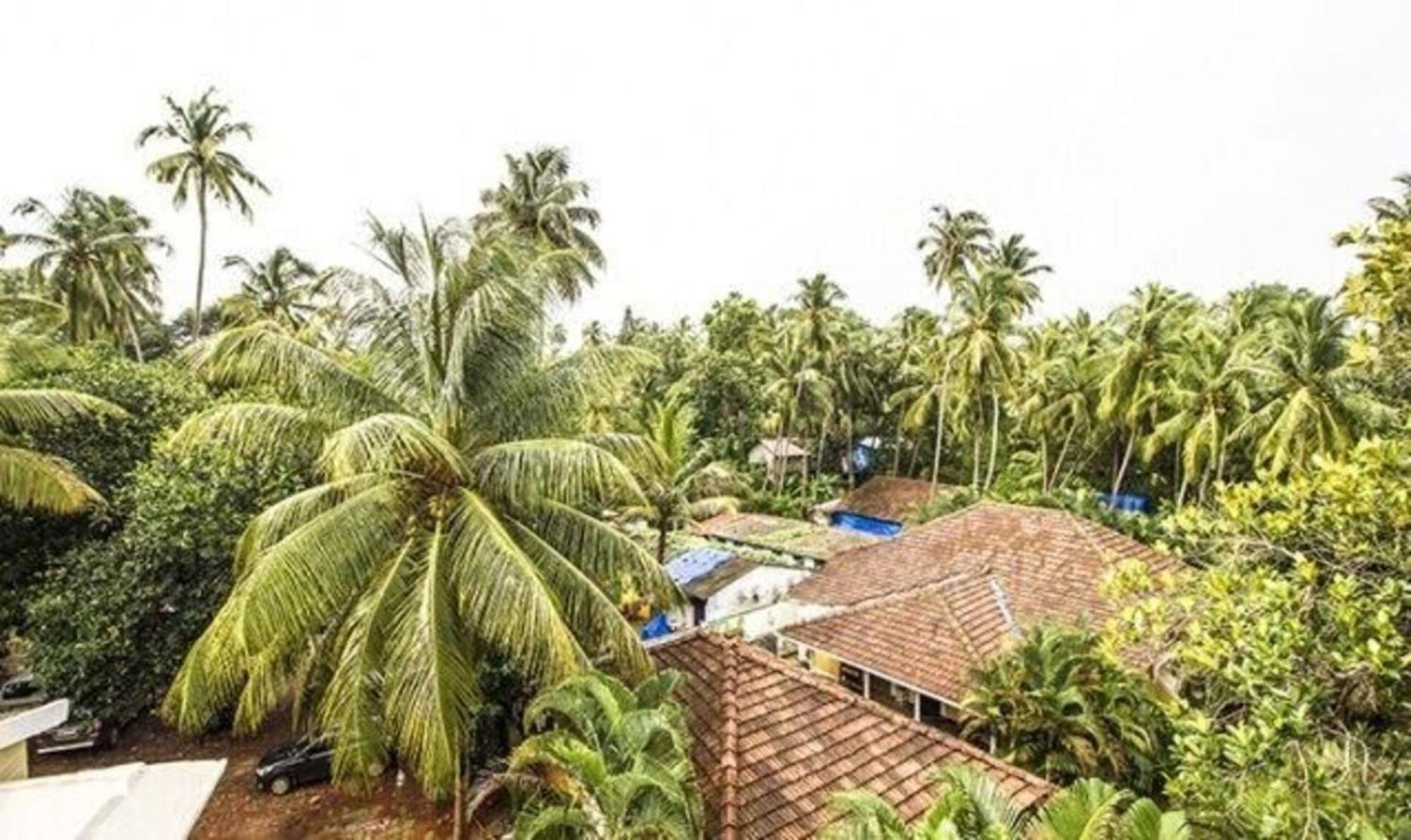 Hotel Fabexpress Orchid The Sky Calangute Esterno foto